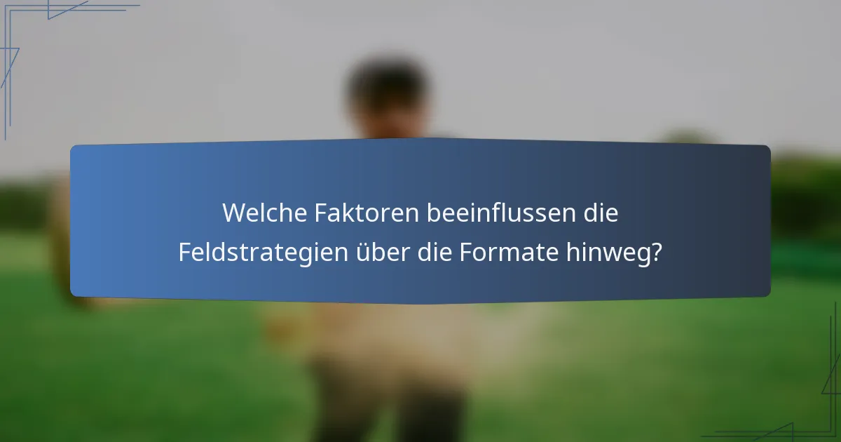 Welche Faktoren beeinflussen die Feldstrategien über die Formate hinweg?